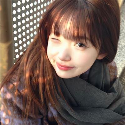 蜘蛛与郁金香